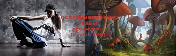 тгк Осташков