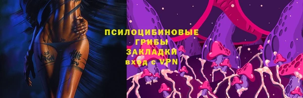индика Остров