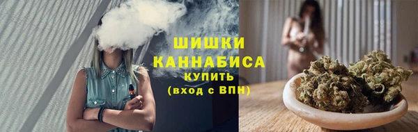 тгк Осташков