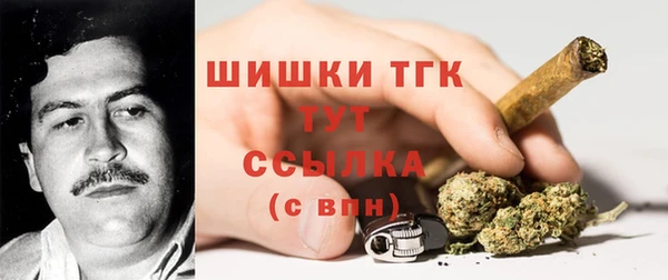 ГАЛЛЮЦИНОГЕННЫЕ ГРИБЫ Алзамай