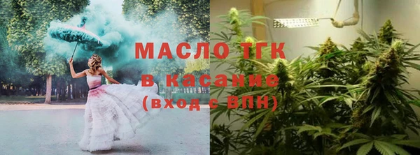 индика Нягань