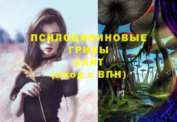 хмурый Переславль-Залесский