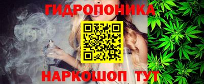 крисы Балаково