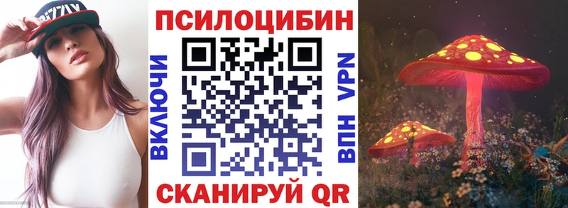 Галлюциногенные грибы Psilocybe  Переславль-Залесский 