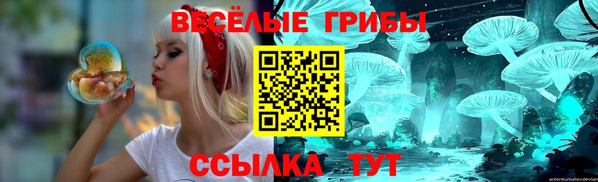 Галлюциногенные грибы Psilocybe  Вход с VPN  Переславль-Залесский 